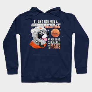 If Laika Had been a Border Collie Hoodie